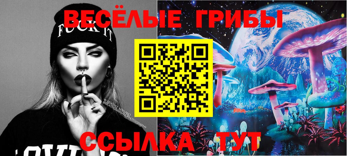 Галлюциногенные грибы Psilocybine cubensis Узловая